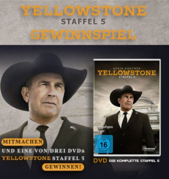 Media Dealer - 1x DVD 