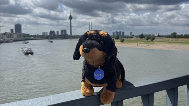 duesseldorf-magazin - 2x1 Düsseldorf-Dackel