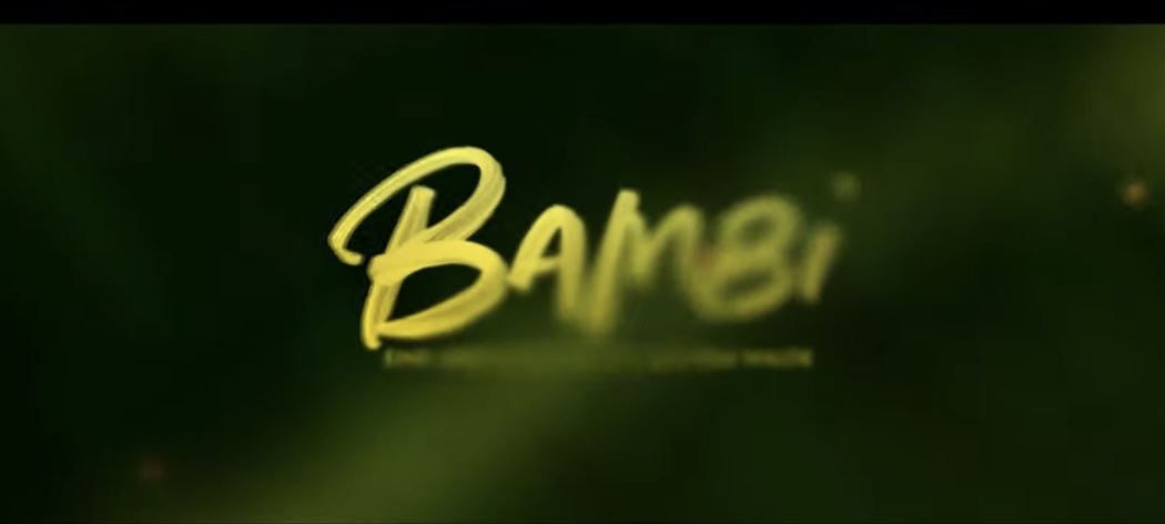 Enkelkind.de - zwei Gewinn-Sets,mit je: 2x Kinotickets für „Bambi – Eine Lebensgeschichte aus dem Walde“ und Dem Bildband „Bambi – Eine Lebensgeschichte aus dem Walde“