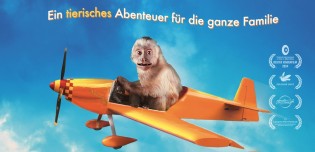 Kinder.de - 2 Fanpakete, bestehend aus einem süßen Affenkuscheltier und 2 Kinokarten für „Akiko, der fliegende Affe"