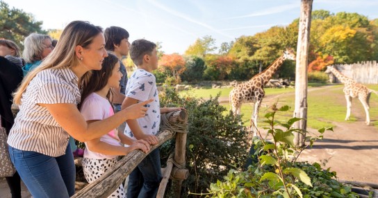 Leipzig Travel - 2 Übernachtungen in einer 2-Raum-Ferienwohnung für eine Familie im RIFF Resort Bad Lausick undeinen Eintrittsgutschein in das Schloss Rochlitz sowie zwei Leipzig Regio Card-Jahreskarten