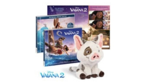 Spielen und Lernen - 2 x Fanpaket zu Viana 2 bestehend aus Soundtrack, Hörspiel, Pua und Activity Card