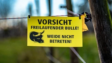 tfa-wissen - drei Exemplare „Tot überm Weidezaun“ von Hedda Anders