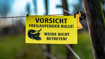 tfa-wissen - drei Exemplare „Tot überm Weidezaun“ von Hedda Anders