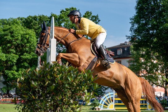 wiesbadenaktuell - Reitsport-Highlight im Biebricher Schlosspark 5×2 Tageskarten für den Samstag, 7. Juni PfingstTurnier 2025