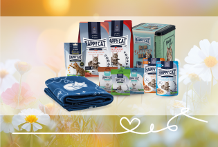 zookauf - 4 Happy Cat Retro Dosen im Vintage-Stil mit der süßen Aufschrift „You are purrrfect!“