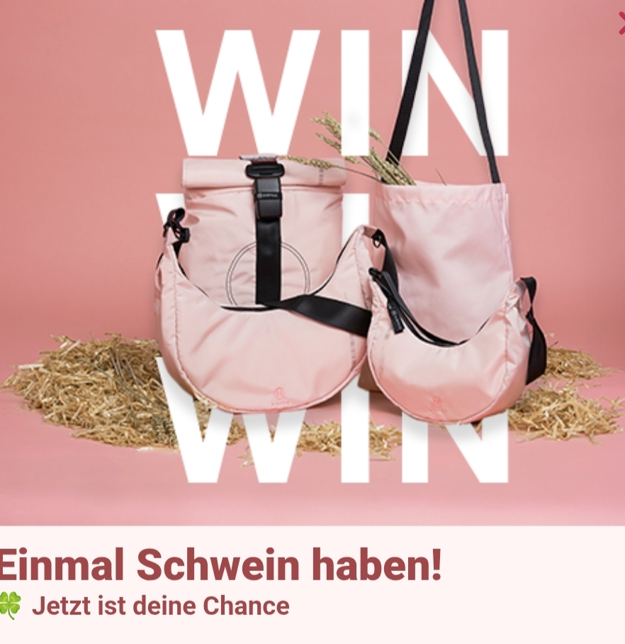 Airpaq - Ein Produkt deiner Wahl aus der Schweine-Edition: Rolltop, Moonbag oder Mini Moonbag