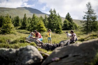 Almdorf Tonnerhütte - 7 Tage Familienurlaub  auf der Alm Tonnerhütte in Mühlen /Österreich