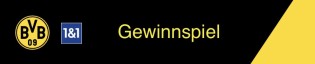 Borussia Dortmund - 555x BVB-Trikots aus der Saison 2024/25