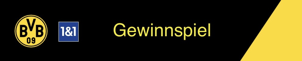 Borussia Dortmund - 555x BVB-Trikots aus der Saison 2024/25