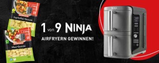 BÜRGER - 9 x 1 Ninja Double Stack XL 2-Ebenen Heißluftfritteuse 9,5 L SL400EU