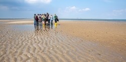 Deutsche Bahn - Tagesausflug an die Nordsee am 20.09.2025, 10x 2 Geführte Zugfahrten auf der Linie RE1/8 nach Norddeich Mole Wattführung und/oder Besuch der Seehundstation