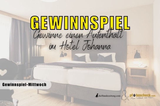 die Hundezeitung - 2 Nächte für 2 Personen und 1 Hundekind im Hotel Johanna Österreich