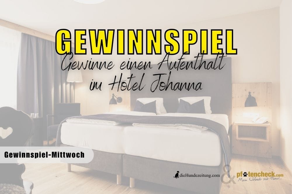 die Hundezeitung - 2 Nächte für 2 Personen und 1 Hundekind im Hotel Johanna Österreich