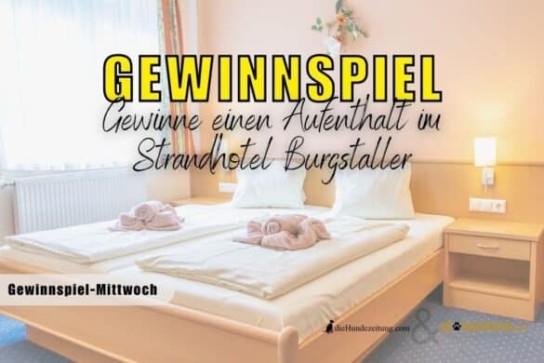 die Hundezeitung - 2 Nächte für 2 Personen & einen Hund im Strandhotel Burgstallerim Zeitraum 17.08.2025 – 31.10.2026 nach Verfügbarkeit