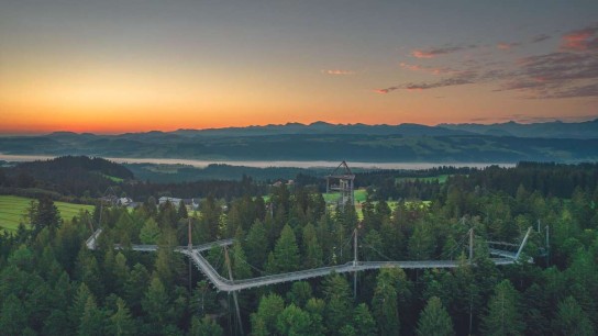 Hallo München - 2x2 Eintrittskarten für den Allgäuer Baumwipfelpfad „Skywalk“–  einen 20 € Verzehrgutschein für das Restaurant „Waldglück“