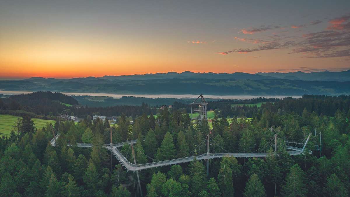 Hallo München - 2x2 Eintrittskarten für den Allgäuer Baumwipfelpfad „Skywalk“–  einen 20 € Verzehrgutschein für das Restaurant „Waldglück“