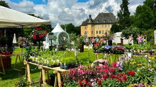 Hindenburger - 10 x 2 Tickets für einen Veranstaltungstag nach Wahl für die Gartenlust Schloss Dyck (19.-22.06.2025).
