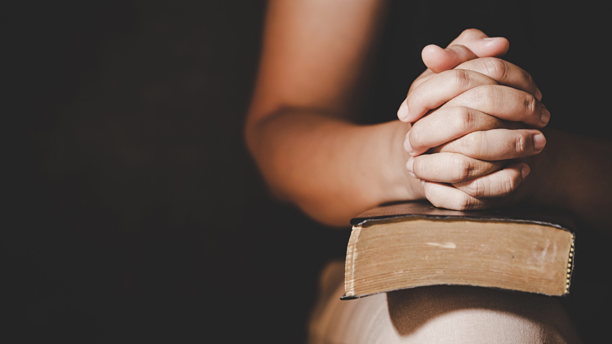 Katholischer Deutscher Frauenbund - 1 x Buch Credo – Was Christen heute glauben von Susanne Haverkamp aus dem Bonifatius Verlag