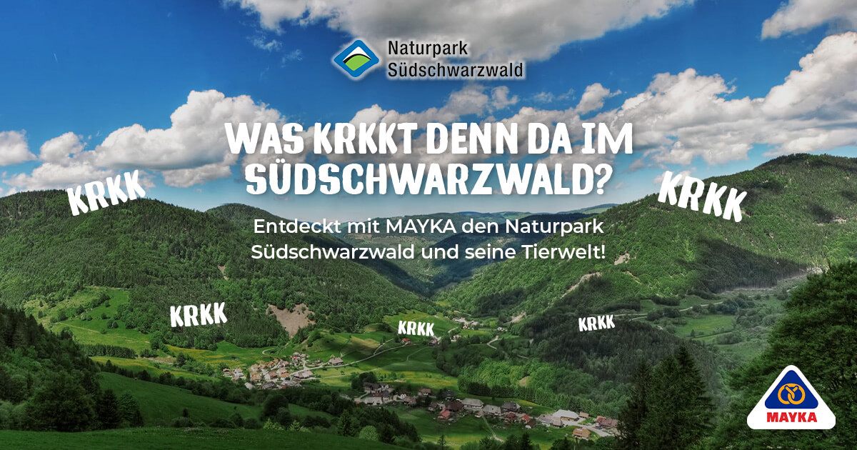 MAYKA - Ein Erlebniswochenende mit der ganzen Familie einen tollen Erlebnistag auf dem Feldberg mit exklusiver Rangerführung, Leckereien von MAYKA, Vier bewusstWild Buffs