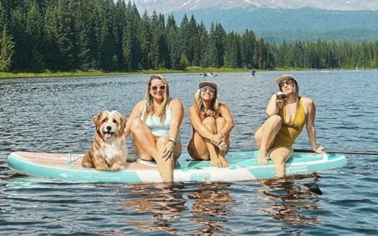 Mobil Krankenkasse - Niphean Stand up Paddle Board