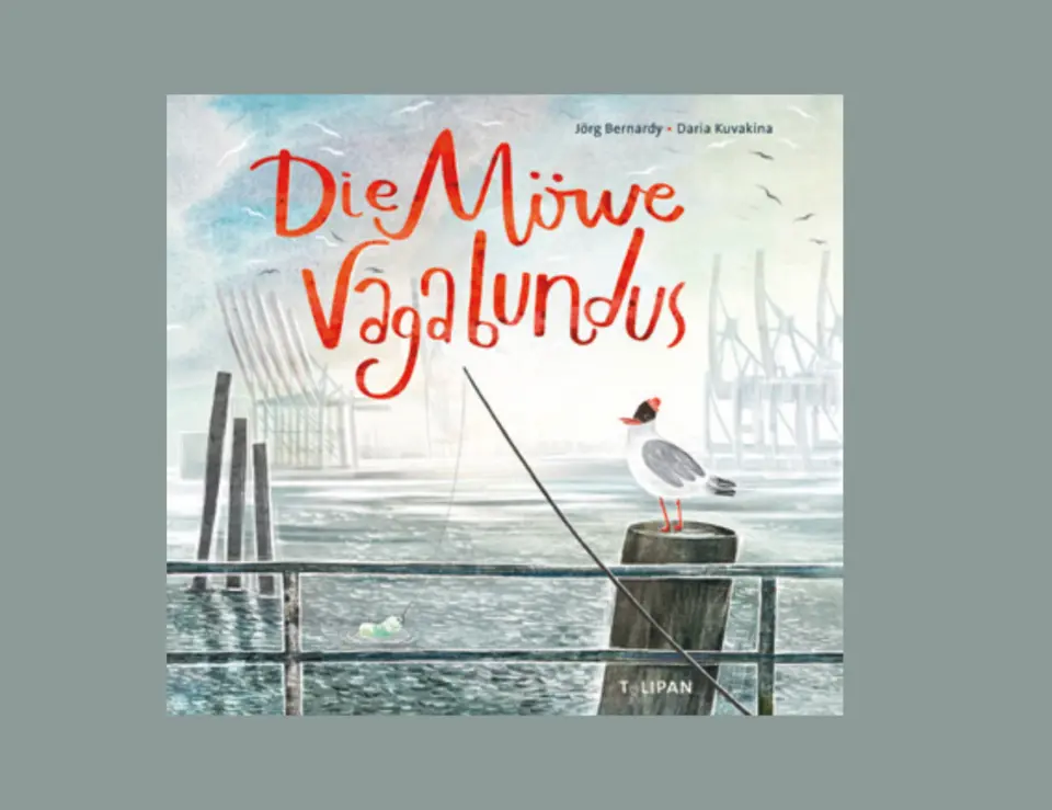 morefamily - 1 Buch: Die Möwe Vagabundus