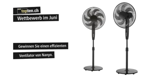 topten - Nanyo FS40 Silent Standventilator