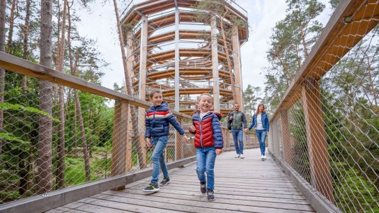 bnn - 1 von 3 Familienpaketen für den Baumwipfelpfad Elsass (je vier Karten)