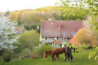 BRF1 - drei Übernachtungen im Appartement für zwei Personen auf dem Eichenhof Kalletal im Lippeland