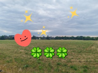 Carpe Diem - Lese-Gutscheine, gefüllte Rucksäcke, Sommer-Pakete, eine Reise, Beauty-Artikel, Gutscheine