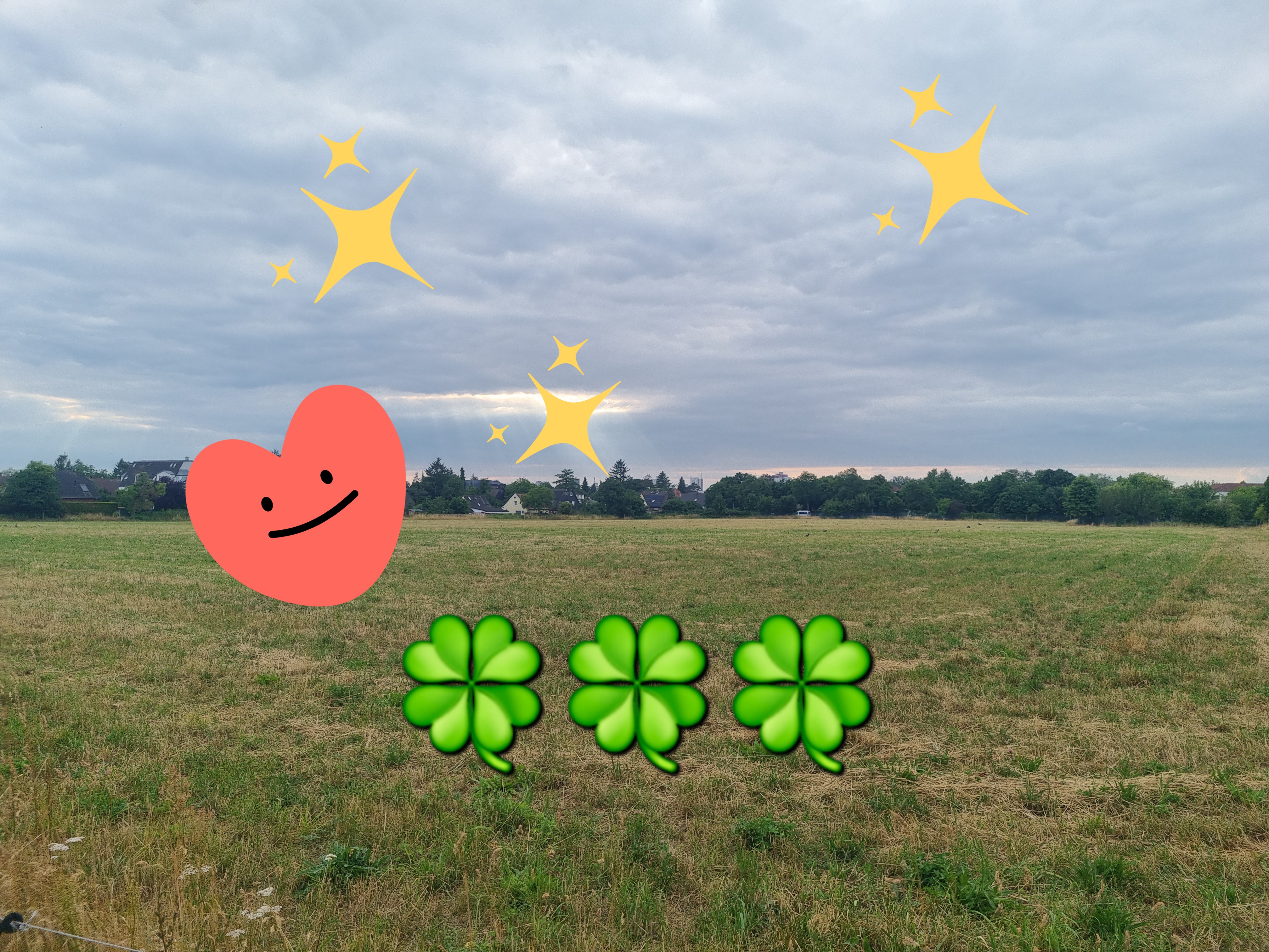 Carpe Diem - Lese-Gutscheine, gefüllte Rucksäcke, Sommer-Pakete, eine Reise, Beauty-Artikel, Gutscheine