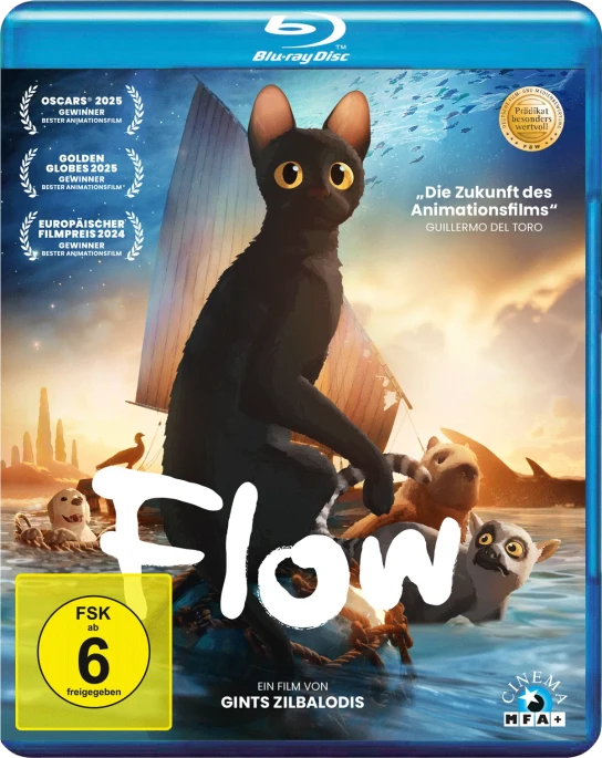Cityguide Rhein-Neckar - 2 DVDs „FLOW“