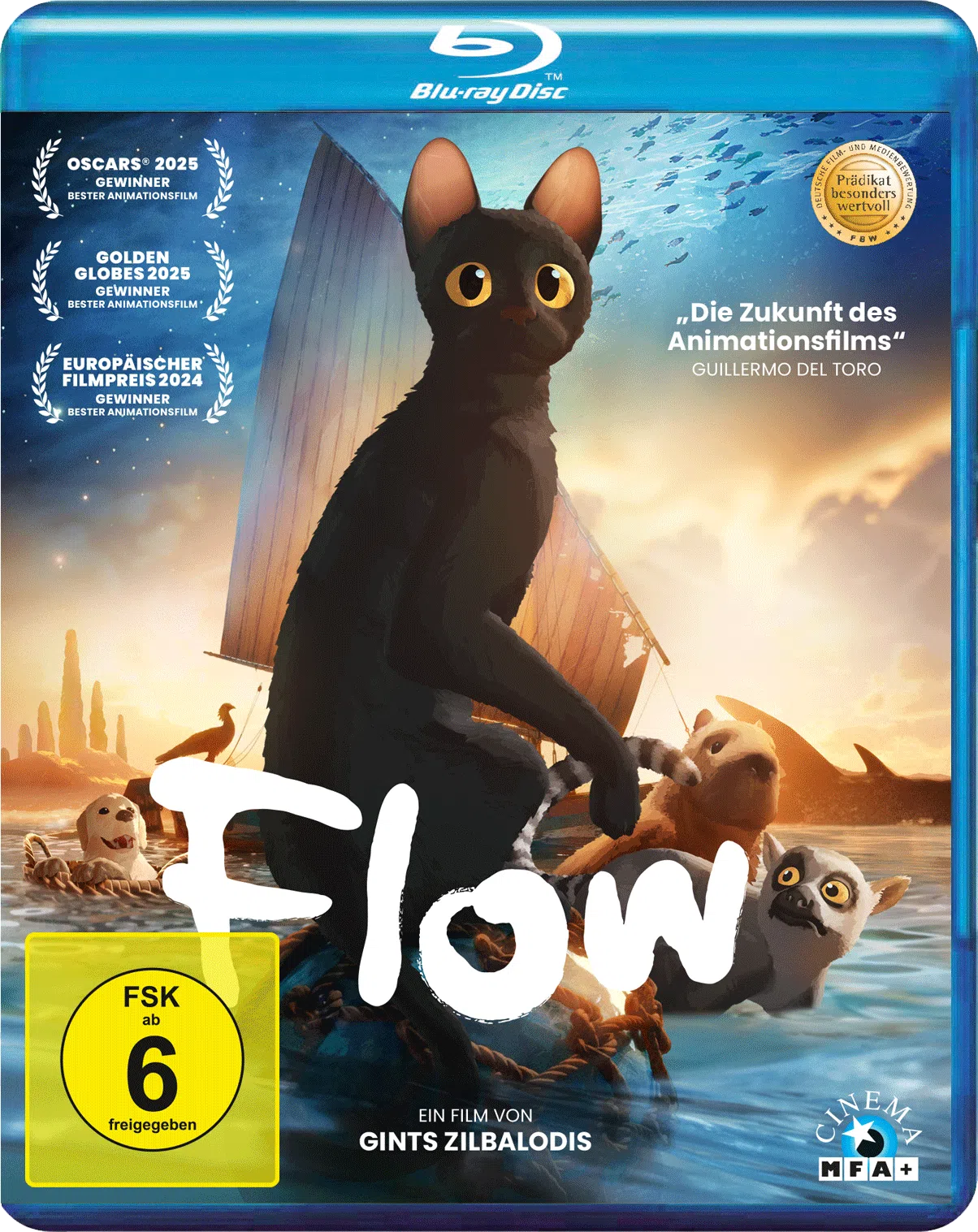 Cityguide Rhein-Neckar - 2 DVDs „FLOW“