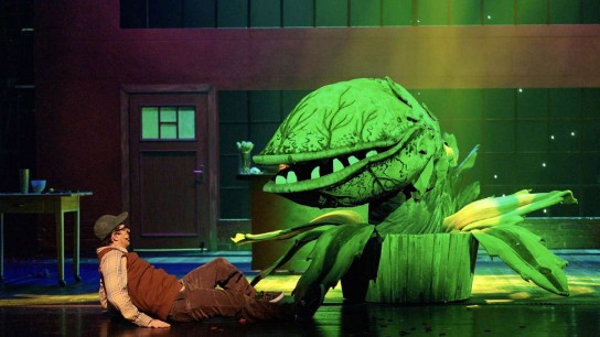 Hallo München - 3 x 2 Karten für „Der kleine Horrorladen“ am 08.08.2025, Deutsches Theater, Schwanthalerstraße 13, Beginn: 19.30 Uhr, München
