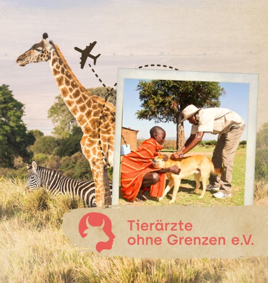 happydog - Reise nach Afrika: Begleite Tierärzte ohne Grenzen ev auf einer 5 tägigen  Afrikareise