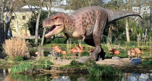 KStA Digitale Medien - Familien Tagestickets für den Besuch im Kölner Zoo