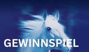 michaelawieland.de - Onlinekurs „Muskulatur & Massage“   Faszienrolle von Horsezone, Balance Pads von norsholm equestrian (Pferd)