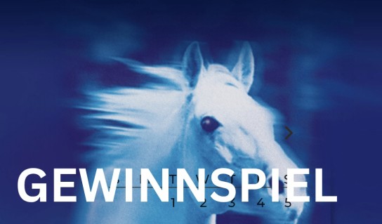 michaelawieland.de - Onlinekurs „Muskulatur & Massage“   Faszienrolle von Horsezone, Balance Pads von norsholm equestrian (Pferd)