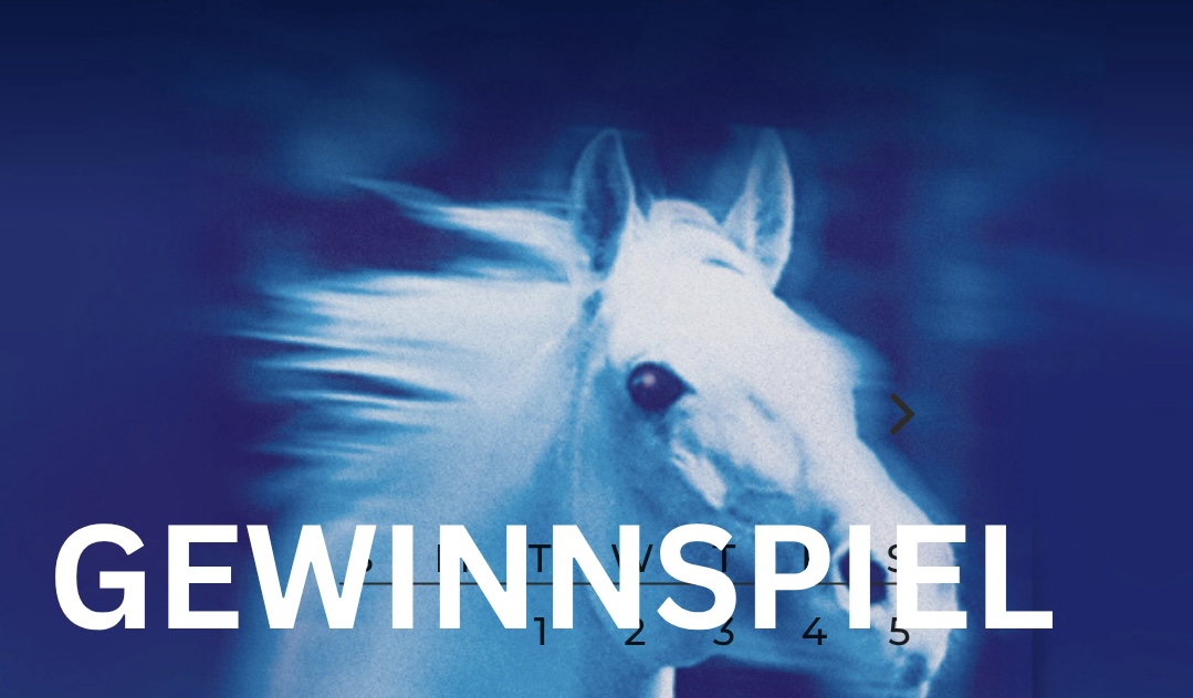 michaelawieland.de - Onlinekurs „Muskulatur & Massage“   Faszienrolle von Horsezone, Balance Pads von norsholm equestrian (Pferd)