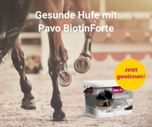 PAVO Pferdenahrung - 1 von 3 Eimern Pavo BiotinForte Starke Hufe. Starkes Pferd.