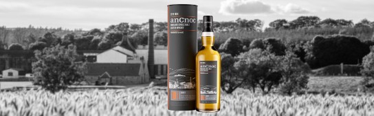 Whiskyexperts - 1 von 6 Flaschen des fabelhaften anCnoc 10yo Peated Single Malt