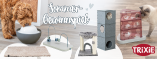 zookauf - Trinkbrunnen, Kratzbaum, Dog Activity Skills Loop und weitere Gewinnen