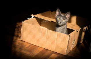 appgefahren - mysteriöse Mystery Box