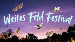 dawo Dresden - 2×2 Freikarten für das Festival„Weites Feld“ vom 29. bis 31. August, Sternenhof in Struppen