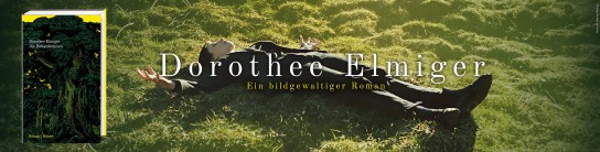 Hanser Literaturverlage - 20 Exemplare von »Die Holländerinnen« von Dorothee Elmiger