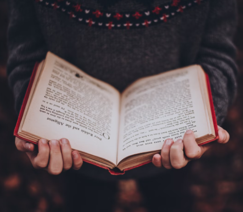 Hildesheimer Presse - 3 x 1  Buch  " Engel der letzten Nacht ” - Roman über die schwierige Zeit des Erwachsenwerdens von Nils Mohl