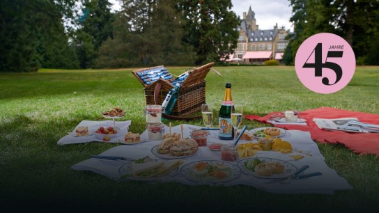 ADAC - Picknick im Park des Schlosshotels Kronberg