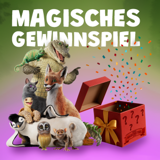 Brandtale - eines von 4 Überraschungspaketen „  Die Schule der magischen Tiere“ mit tollen Merchandise-Artikeln