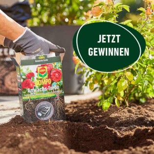 Compo - 5x1 COMPO Anwachs-Turbo