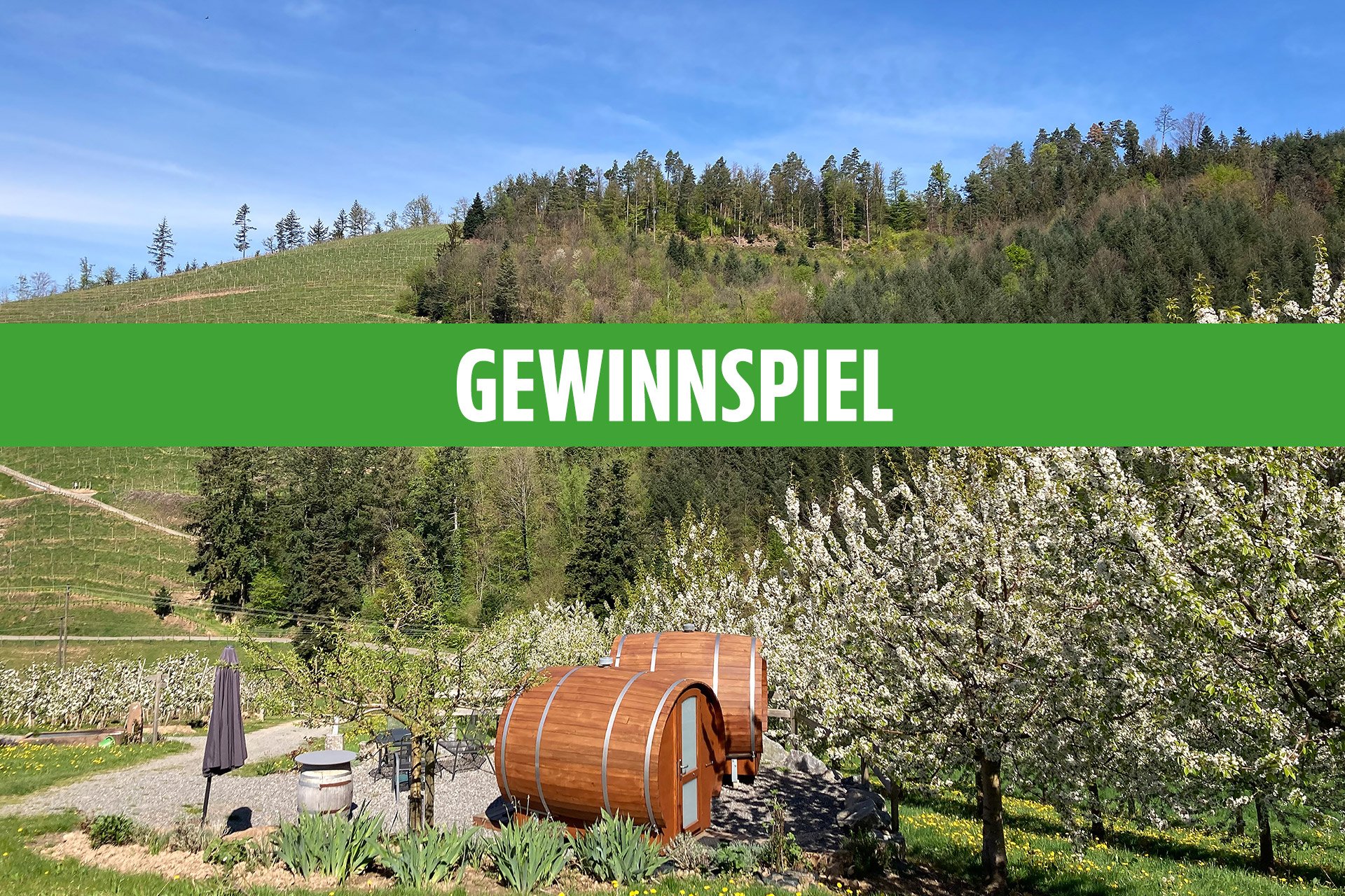 EDEKA Südwest -  eine Übernachtung für zwei Personen im Weinfass auf dem Winzerhof Sester ( Baden)